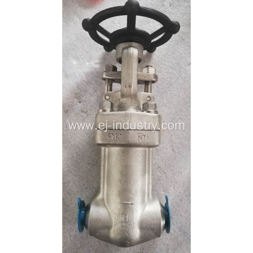 F321 Forged Gate Valve